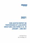 Report JAN-JUN 2021
